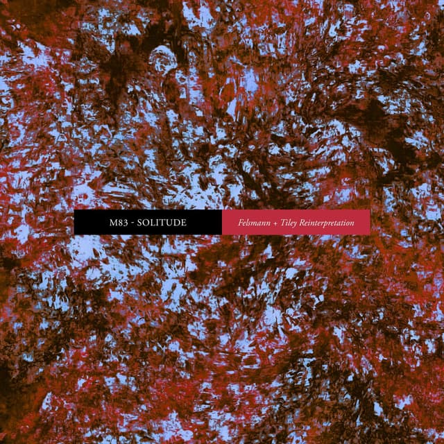Album cover art for Solitude (Felsmann + Tiley Reinterpretation)