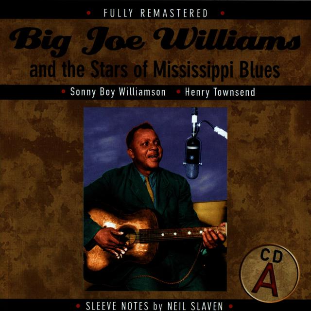 Album cover art for Big Joe Williams And The Stars Of Mississippi Blues