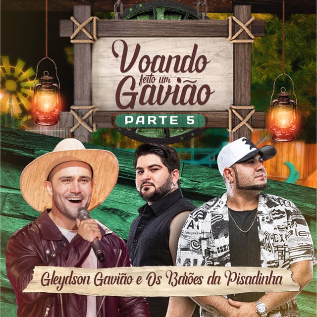 Album cover art for Voando Feito um Gavião pt.5