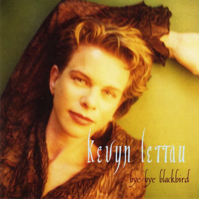 Album cover art for Bye-Bye Blackbird