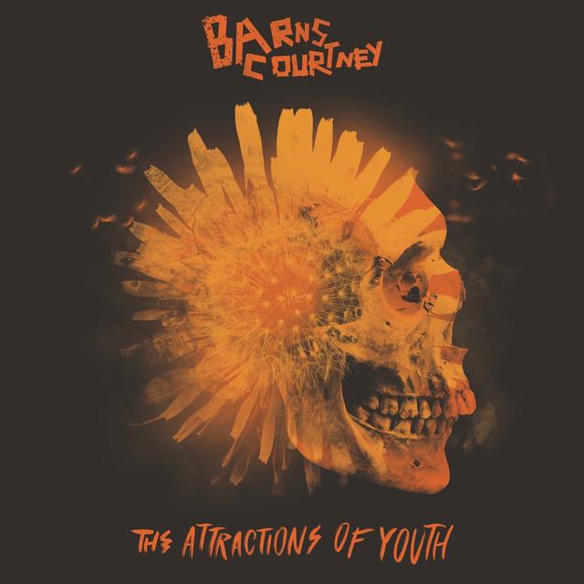 Album cover art for The Attractions of Youth
