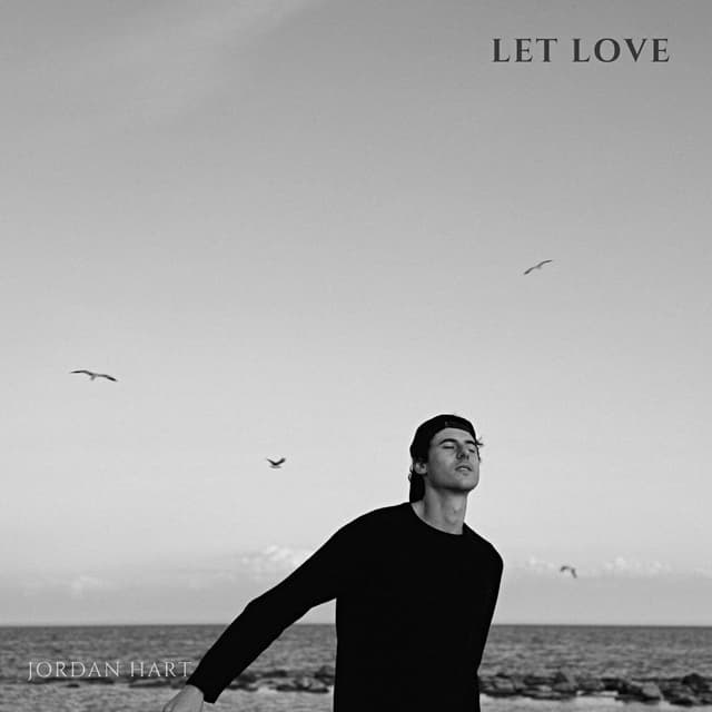 Album cover art for Let Love