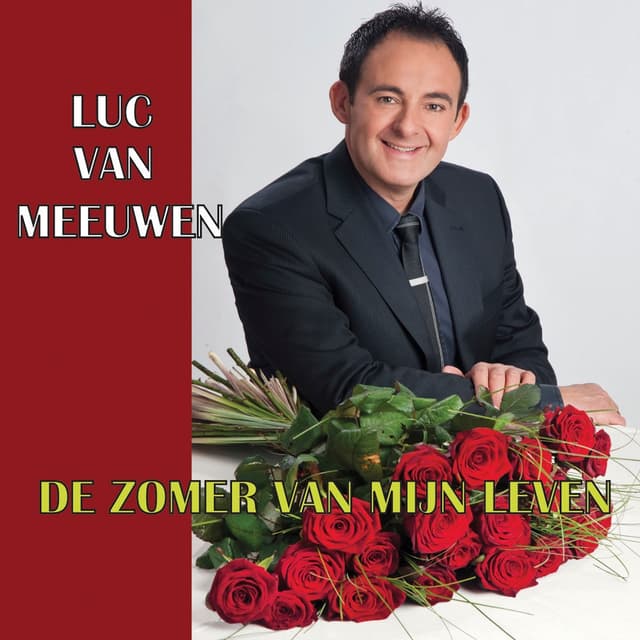 Album cover art for De zomer van mijn leven