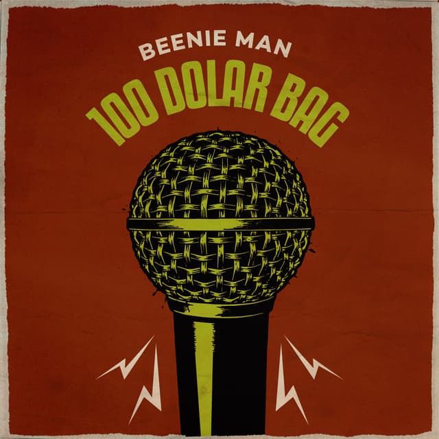 Album cover art for 100 Dollar Bag