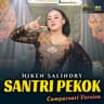 Santri Pekok