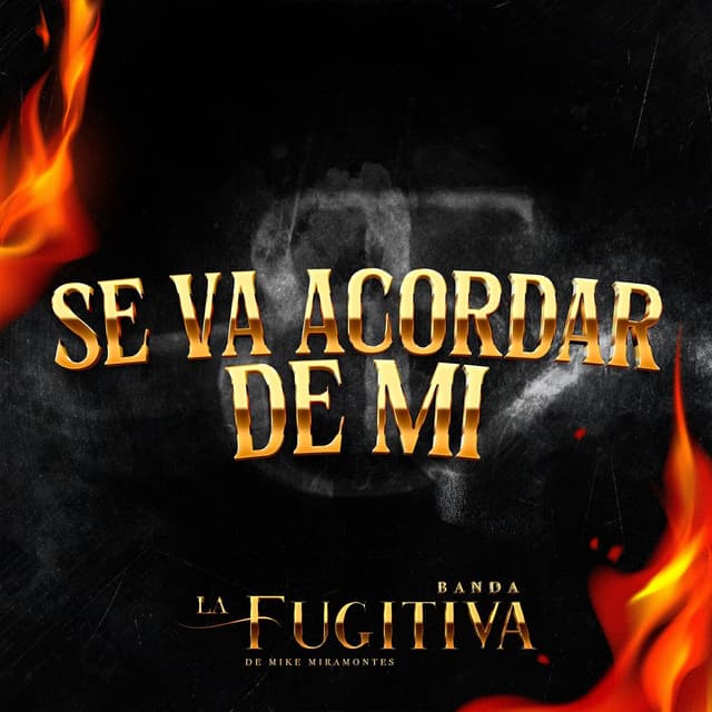 Album cover art for Se Va Acordar De Mi