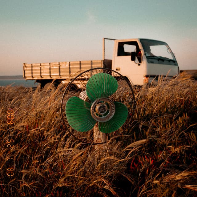 Album cover art for Beijo Roubado
