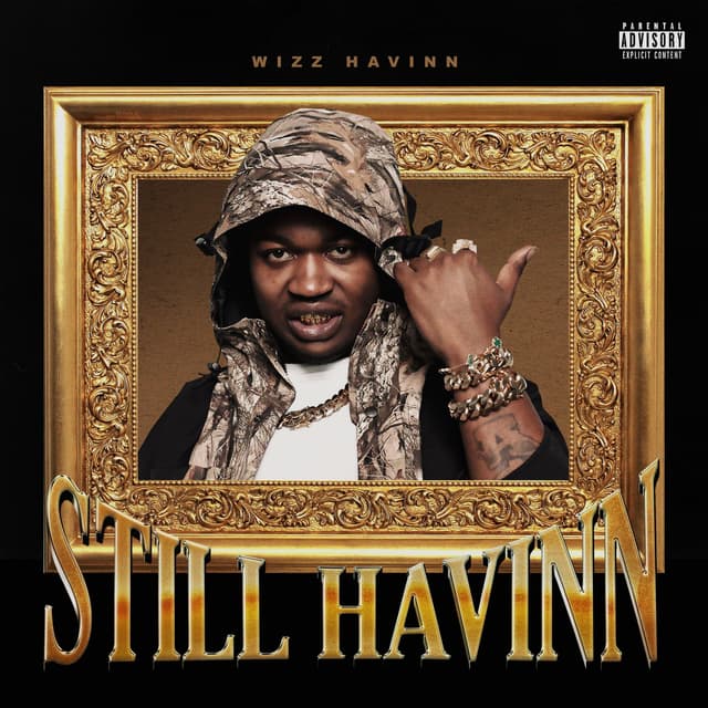 Album cover art for Still Havinn