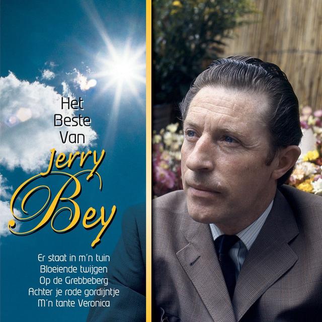 Album cover art for Het beste van Jerry Bey