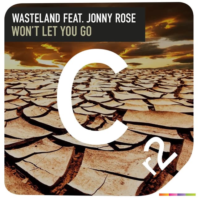 Album cover art for Won't Let You Go