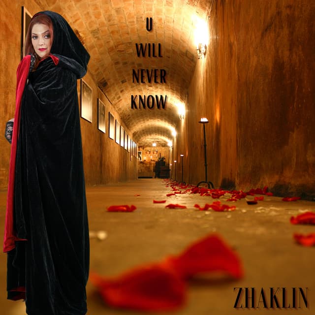 Album cover art for U Will Never Know
