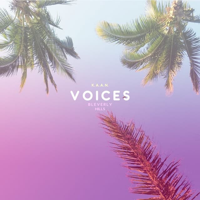 Album cover art for Voices