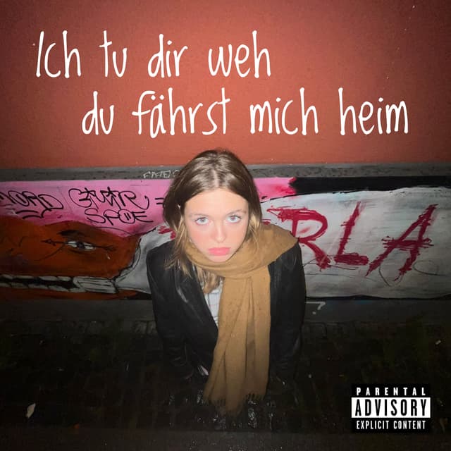 Album cover art for Ich tu dir weh, du fährst mich heim