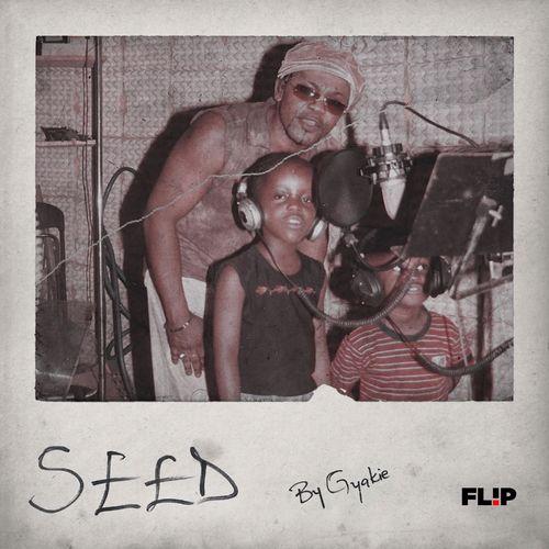 Album cover art for Seed