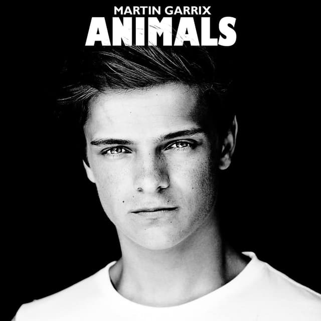 Album cover art for Animals