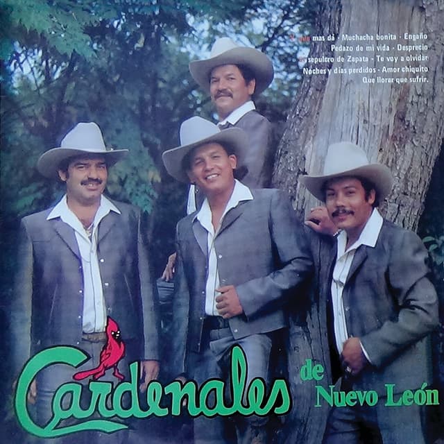 Album cover art for Y Qué Más Da