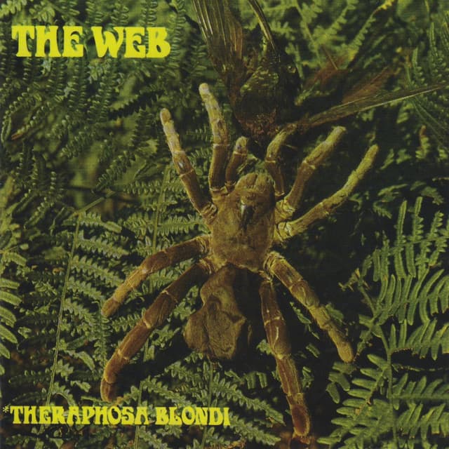 Album cover art for Theraphosa Blondi