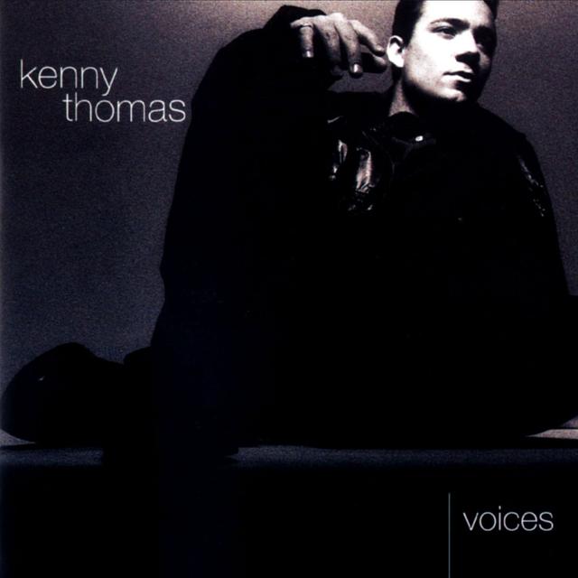 Album cover art for Voices