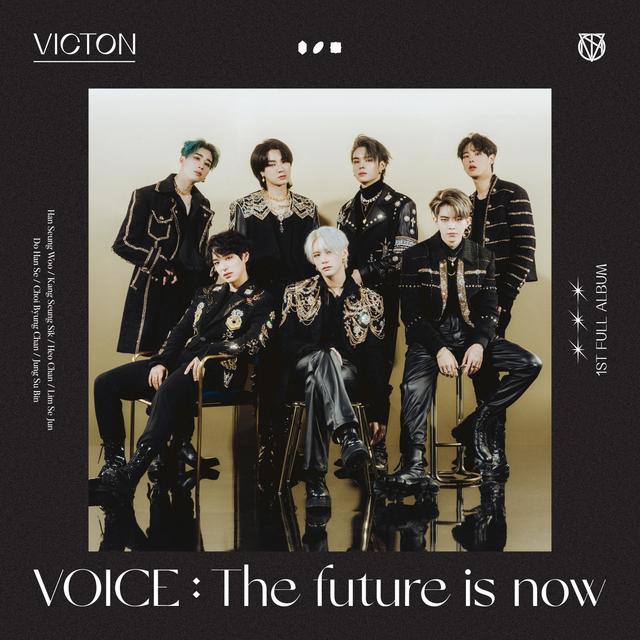 Album cover art for Voice: The Future Is Now