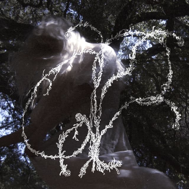 Album cover art for out with lanterns