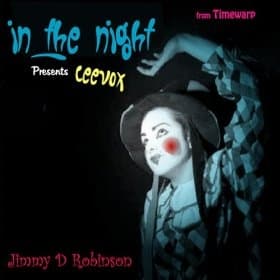 Album cover art for In the Night