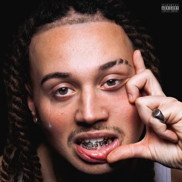 Album cover art for Se dio vuole
