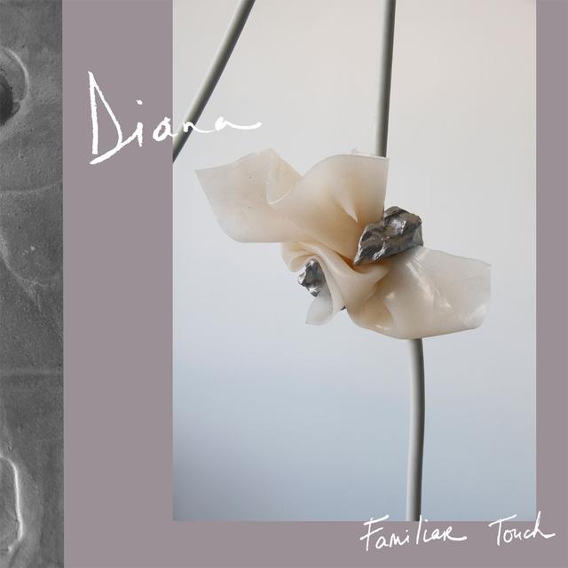 Album cover art for Familiar Touch
