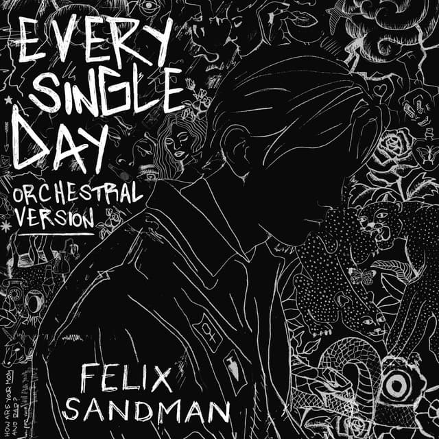 Album cover art for Every Single Day (Orchestral Version)