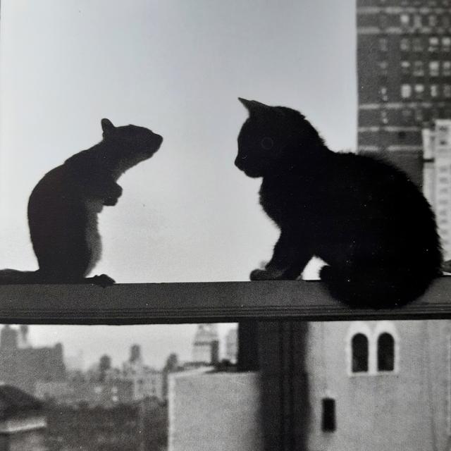 Album cover art for Despierto de repente