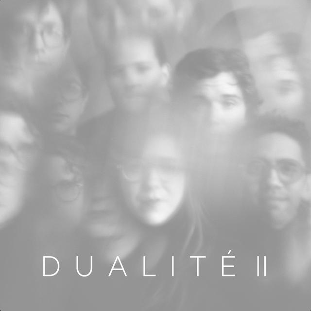 Album cover art for Dualité II