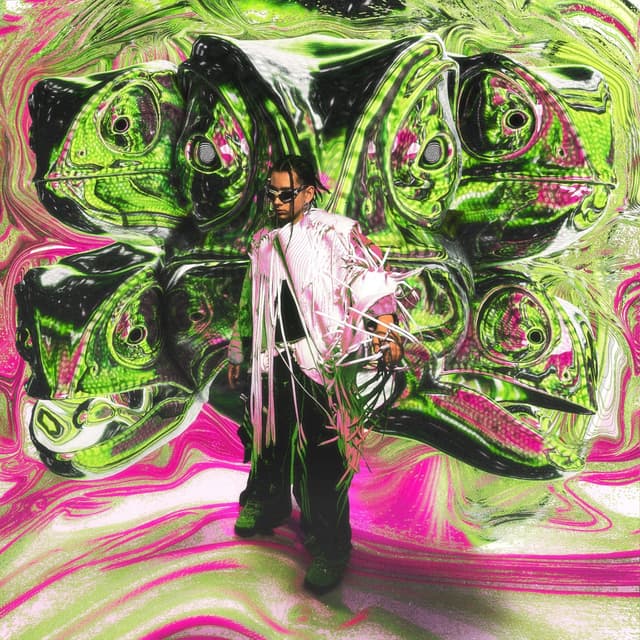 Album cover art for Cameleo