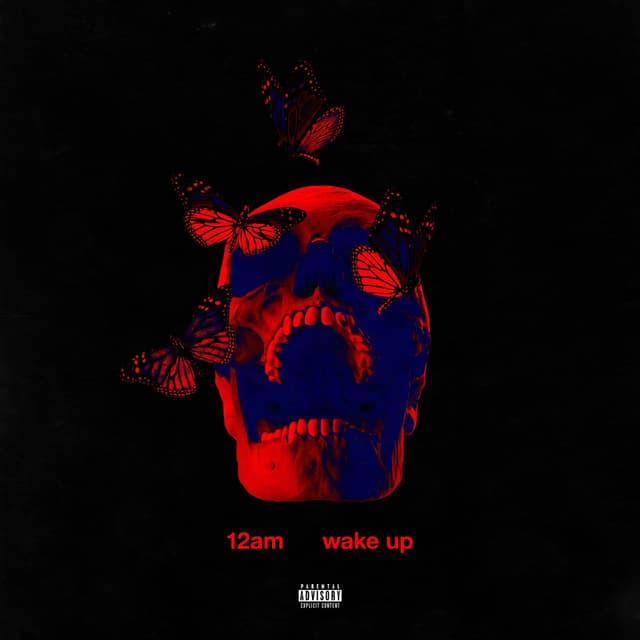 Album cover art for Wake Up