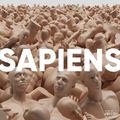 Album cover art for Sapiens