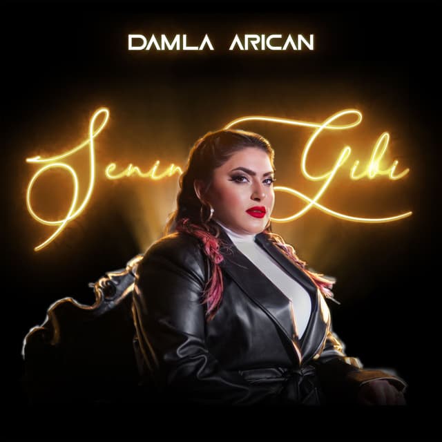 Album cover art for Senin Gibi