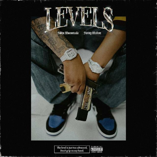 Album cover art for Levels (feat. Sunny Malton)