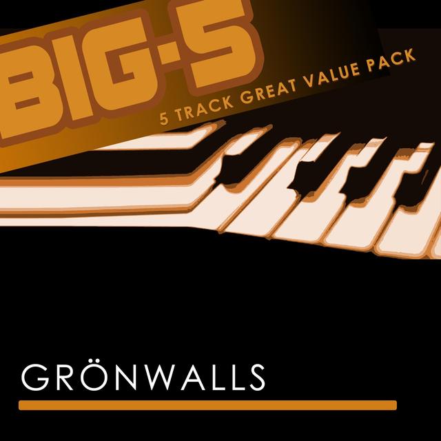 Album cover art for Big-5 : Grönwalls