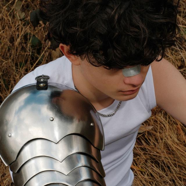 Album cover art for T'es mon gars