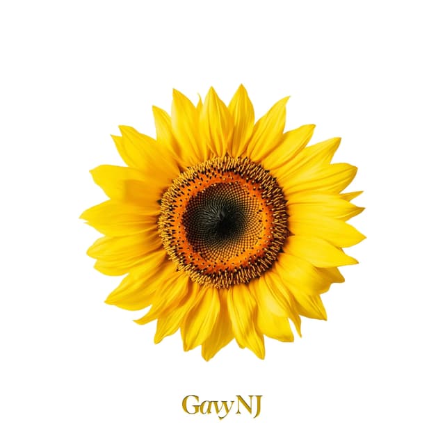 Album cover art for The Gavy NJ : II