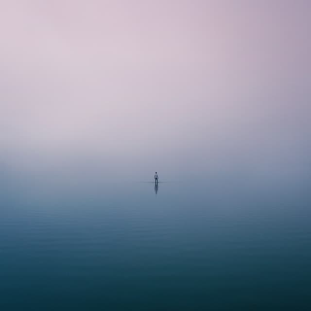 Album cover art for Laguna