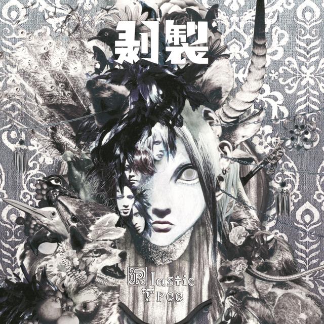 Album cover art for Hakusei