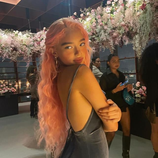 Album cover art for Pink Picasso