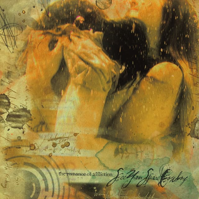 Album cover art for The Romance of Affliction
