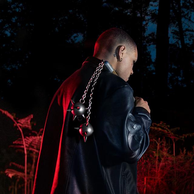 Album cover art for MORNINGSTAR