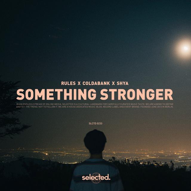 Album cover art for Something Stronger