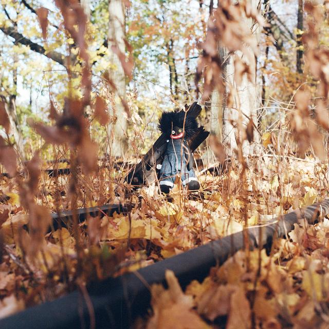 Album cover art for GOLLIWOG