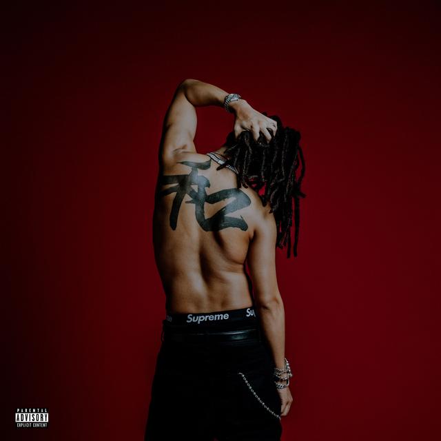 Album cover art for Wataru