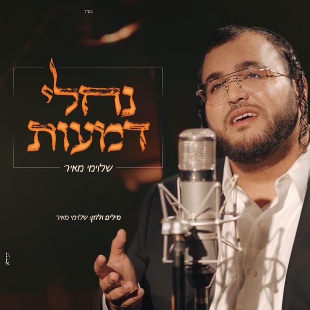 Album cover art for נחלי דמעות