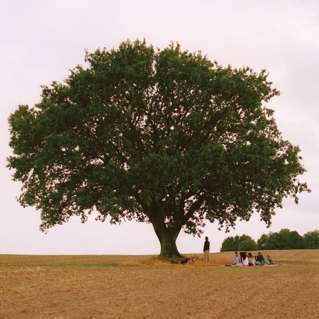 Album cover art for VILD UNGDOM