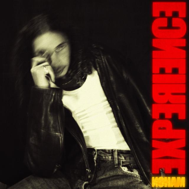 Album cover art for EXPERIENCE