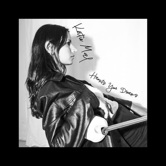 Album cover art for Haunts Your Dreams